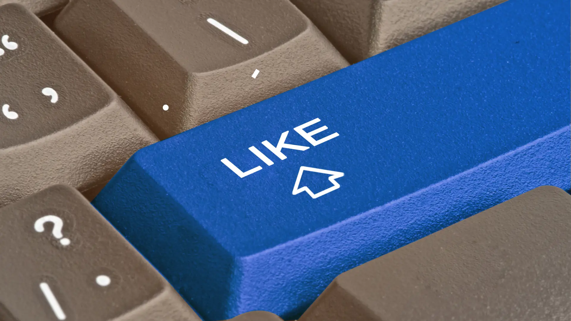Digifos Dịch vụ quảng cáo facebook ads